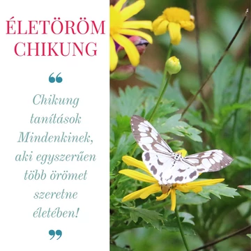 Életöröm Chikung (oktatóvideó)